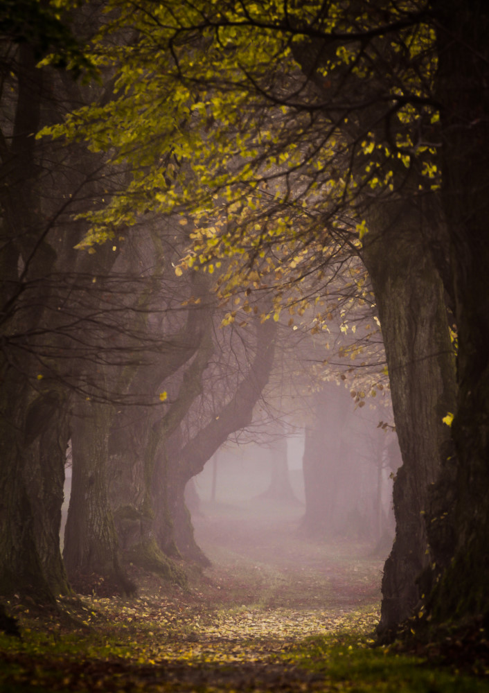 10. Platz Sieglinde Senser